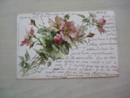 Carte Postale Ancienne 1899 FLEURS - Flowers