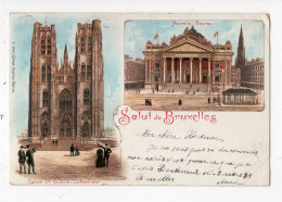 467 - Salut De BRUXELLES - Nouvelle Bourse - Cathédrale   *litho*1898* - Monumenten, Gebouwen