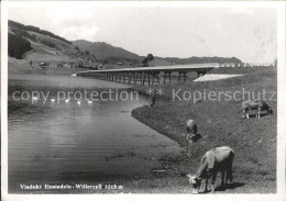 11643022 Willerzell Viadukt Einsiedeln Kuehe Willerzell - Sonstige & Ohne Zuordnung