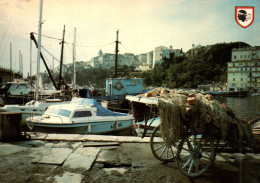 19589   BASTIA  Le Vieux  Port   ( Filets De Pèche ) (2 Scans ) 20 Corse - Bastia