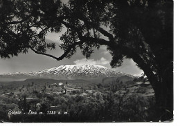 BRONTE - ETNA - (Catania) - CARTOLINA ILL. B/N - VIAGGIATA 1952 - Ediz.Musuraca Nicolò,Bronte - POSTE BRONTE - CATANIA - Catania