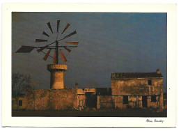 MALLORCA / ILLES BALEARS.- ( ESPAÑA). - Mallorca