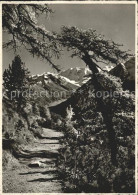 11642816 Muottas Muraigl Hoehenweg Alp Languard Piz-Palu Und Bellavista Muottas  - Andere & Zonder Classificatie