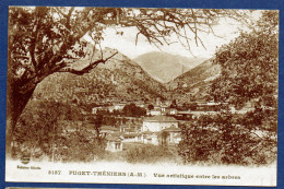 PUGET-THENIERS - VUE ARTISTIQUE ENTRE LES ARBRES  - FRANCE - Sonstige & Ohne Zuordnung