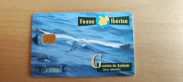 FAUNA IBERICA GAVIOTA DE  AUDOUIN 1000 PTA TELEFONICA - Sonstige & Ohne Zuordnung