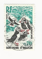 SPM-1973 -Oiseaux. Macareux Moine - N° 429 Oblitéré - Usati
