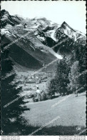 Ad787 Cartolina Chamonix Mont Blanc - Andere & Zonder Classificatie