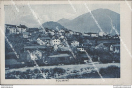 Au110 Cartolina Tolmino Slovenia - Andere & Zonder Classificatie