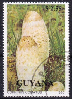 Timbre-poste Dentelé Oblitéré - Champignons Coprin Chevelu Coprinus Comatus - N° 2355 (Yvert Et Tellier) - Guyana 1990 - Guiana (1966-...)