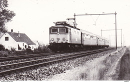 NS Electr. Lok. Serie 1100 - Treni