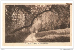 CPA 80-Somme- Poix - Allée Du Jeu De Paume - Poix-de-Picardie