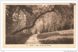 CPA 80-Somme- Poix - Allée Du Jeu De Paume - Rare - Poix-de-Picardie