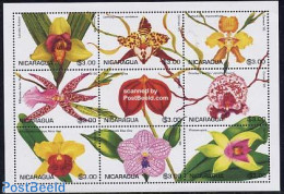 Nicaragua 1995 Orchids 9v M/s, Mint NH, Nature - Flowers & Plants - Orchids - Nicaragua