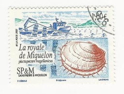 SPM-2007 -Coquillage. La Royale De Miquelon - N° 884 Oblitéré - Gebraucht