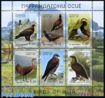 Tajikistan 2007 Birds 6v M/s, Mint NH, Nature - Birds - Birds Of Prey - Ducks - Tajikistan