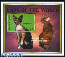 Turks And Caicos Islands 2000 Cat S/s, Mint NH, Nature - Cats - Autres & Non Classés