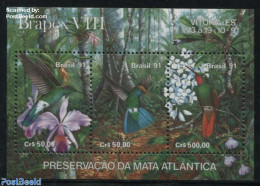 Brazil 1991 Brapex S/s, Mint NH, Nature - Birds - Flowers & Plants - Trees & Forests - Hummingbirds - Neufs