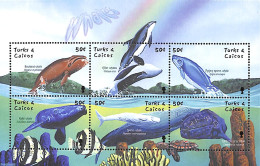 Turks And Caicos Islands 2001 Whales 6v M/s, Bowhead Whale, Mint NH, Nature - Fish - Sea Mammals - Turtles - Vissen