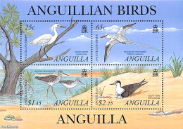 Anguilla 2001 Birds 4v M/s, Mint NH, Nature - Birds - Anguilla (1968-...)