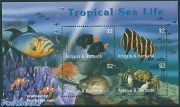 Antigua & Barbuda 2005 Tropical Sea Life 4v M/s, Yellowtail Damselfish, Mint NH, Nature - Fish - Vissen