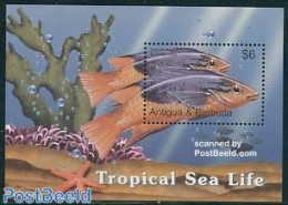 Antigua & Barbuda 2005 Tropical Sea Life S/s, Spanish Hogfish, Mint NH, Nature - Fish - Pesci