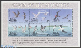 Maldives 2002 Birds 6v M/s, Anous Tenuirostris, Mint NH, Nature - Transport - Birds - Ships And Boats - Ships