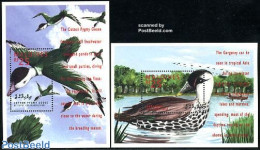 Maldives 1995 Ducks 2 S/s, Mint NH, Nature - Birds - Ducks - Malediven (1965-...)