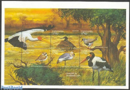 Tanzania 1999 Birds 6v M/s, Yellow Bill, Mint NH, Nature - Birds - Storks - Tanzania (1964-...)