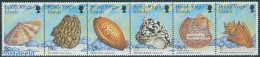 Virgin Islands 1999 Shells 6v [:::::], Mint NH, Nature - Shells & Crustaceans - Vie Marine