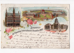 472 - BRUXELLES - Exposition Inrternationale 1897  *litho* - Monuments