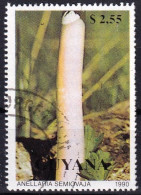 Timbre-poste Dentelé Oblitéré - Champignons Anellaria Semiovaja - N° 2357 (Yvert Et Tellier) - Guyana 1990 - Guiana (1966-...)