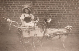 Mouton - Carte Photo - Jour De Fête , Jeune Fille Dans Un Attelage Tiré Par Un Mouton - Sheep - Andere & Zonder Classificatie