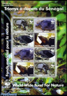 Togo 2006 WWF, Turtles M/s, Mint NH, Nature - Turtles - World Wildlife Fund (WWF) - Togo (1960-...)