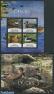 Saint Vincent & The Grenadines 2014 Mustique, Ducks 2 S/s, Mint NH, Nature - Birds - Ducks - St.Vincent & Grenadines