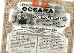 The OCEANA CONSOLIDATED  COMPANY, Limited - Bergbau