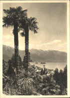 11641923 Brissago TI Partie Am Lago Maggiore Brissago - Autres & Non Classés