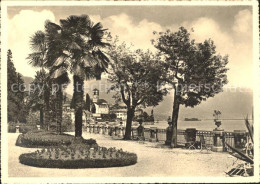 11641916 Brissago TI Lago Maggiore Am Quai Brissago - Altri & Non Classificati