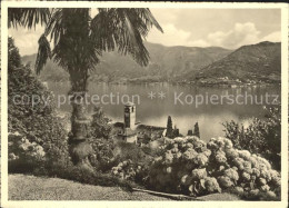 11641881 Brissago TI Partie Am Lago Maggiore Brissago - Autres & Non Classés