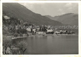 11641879 Brissago TI Partie Am Lago Maggiore Brissago - Autres & Non Classés