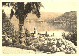 11641874 Brissago TI Partie Am Lago Maggiore Brissago - Altri & Non Classificati