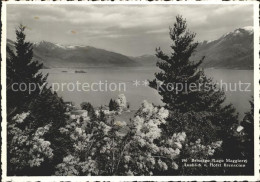 11641873 Brissago TI Partie Am Lago Maggiore Blick Vom Hotel Brenscino Brissago - Altri & Non Classificati