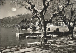 11641845 Ascona TI San Michele Lago Maggiore Ascona - Autres & Non Classés