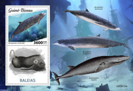 Guinea Bissau 2023 Whales, Mint NH, Nature - Sea Mammals - Guinée-Bissau