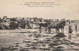 Paramé, Plage De Rochebonne, La Récolte Du Goëmon - Autres & Non Classés