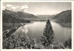 11641704 Ronco TI See Berge Tal  - Sonstige & Ohne Zuordnung