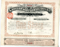 The CANADIAN COAL CONSOLIDATED, Limited - Mijnen