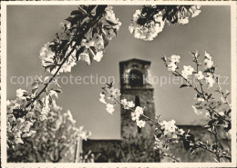 11641631 Tessin Ticino Fruehling Kirche Lugano - Altri & Non Classificati