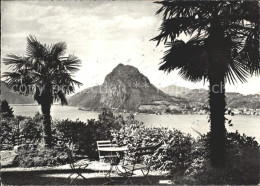 11641556 Lugano TI Monte San Salvatore Palmen Lugano - Autres & Non Classés