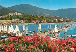 83 - Cavalaire Sur Mer - Le Port, Un Jour De Régates - Cavalaire-sur-Mer