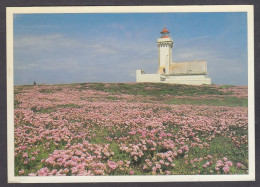 128211/ BELLE-ILE-EN-MER, Le Phare De La Pointe Des Poulains - Belle Ile En Mer